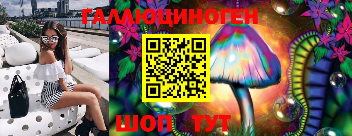 Димитровград  Псилоцибиновые грибы мухоморы  Галлюциногенные грибы MAGIC MUSHROOMS  Вход с VPN 